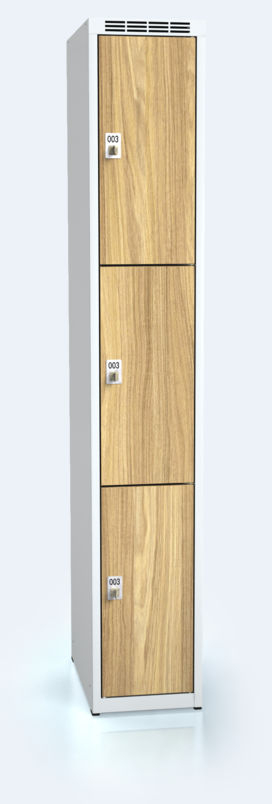 Šatní skříňka se třemi uzamykatelnými schránkami ALDERA 1800 x 300 x 500 - d3m3013o_7035_dub_c1_z